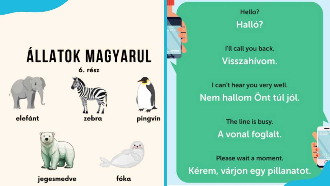Hungarian words and sentences