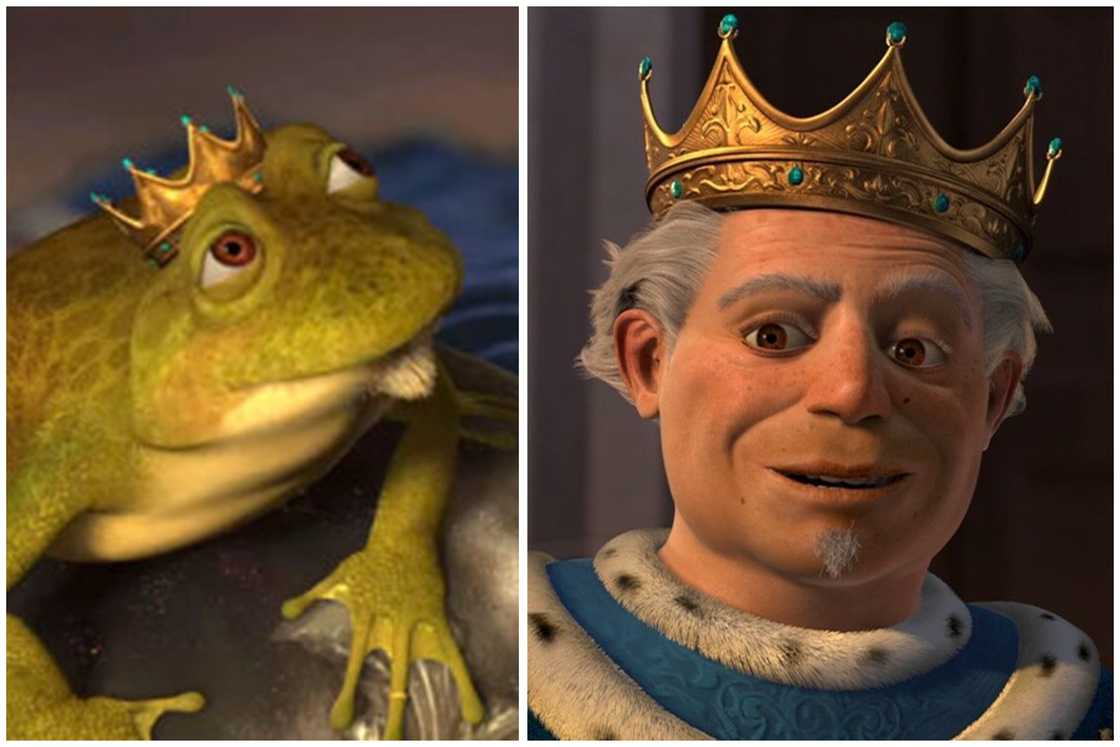 Shrek costume ideas Shrek costume ideas