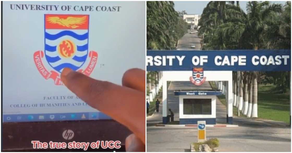 UCC Student makes hilarious video UCC Student makes hilarious video