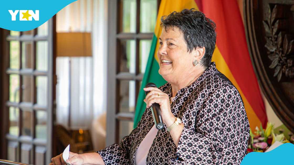 Samson Asaki Awingobit, Donald Trump, John Mahama, Tariffs, Exports, Imports, Taxes Samson Asaki Awingobit, Donald Trump, John Mahama, Tariffs, Exports, Imports, Taxes