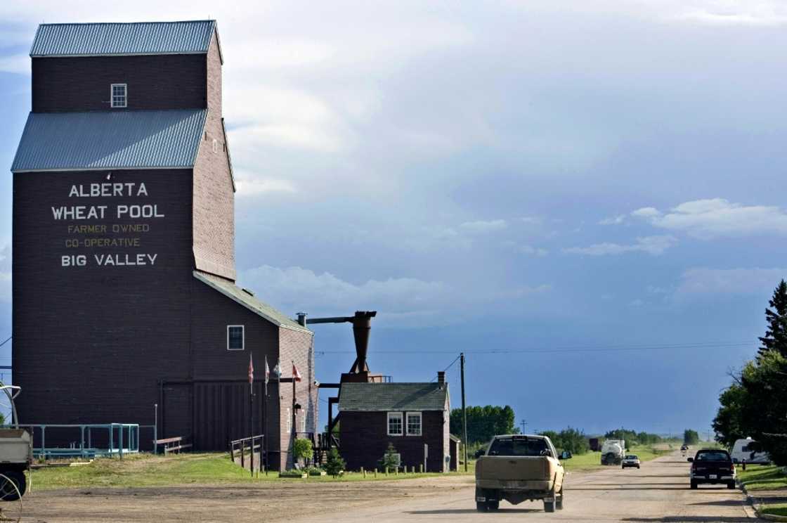 Canada saw a rebound in grain shipments in September following last year's poor harvest Canada saw a rebound in grain shipments in September following last year's poor harvest