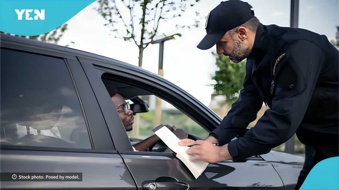Florida elections bill, driver's licenses, citizenship status, Florida state, identity cards, citizenship, new election policy, Florida driving policy Florida elections bill, driver's licenses, citizenship status, Florida state, identity cards, citizenship, new election policy, Florida driving policy