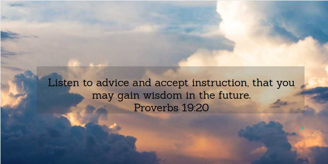 words of wisdom words of wisdom