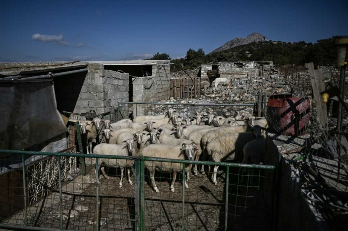 The squeeze on animal feed has resulted in a fall in milk production The squeeze on animal feed has resulted in a fall in milk production