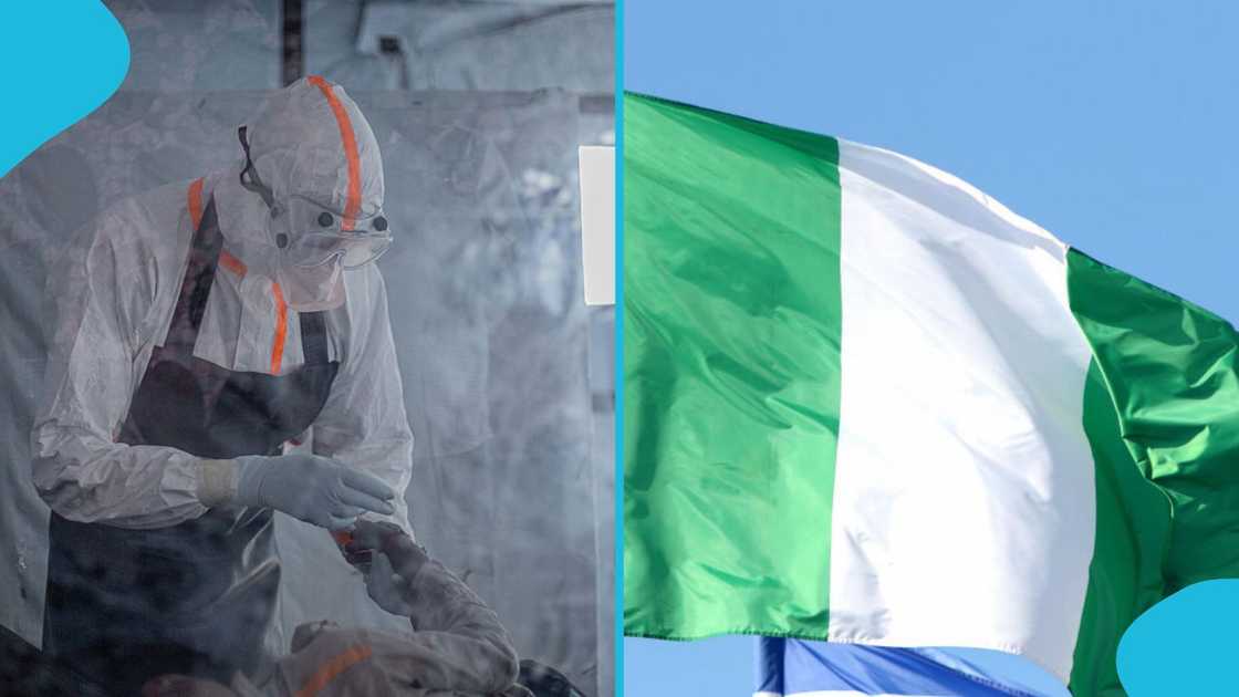 Ebola in Nigeria, Symptoms of Ebola, Preventive Measures of Ebola, Nigeria Healthcare Ebola in Nigeria, Symptoms of Ebola, Preventive Measures of Ebola, Nigeria Healthcare