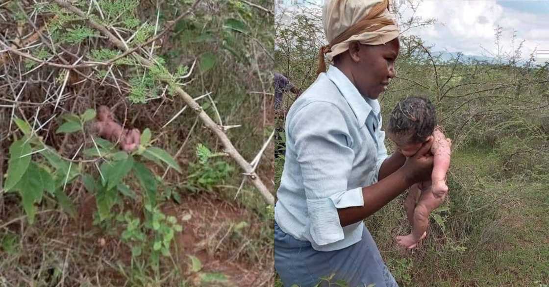 Photos of newborn baby being rescued from the bush heat up Twitter with massive reactions