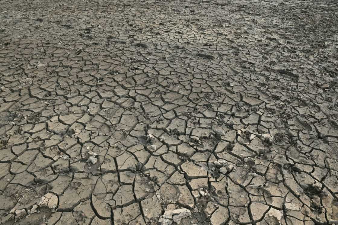 European Commission researchers say nearly half of the EU's land is under threat from drought European Commission researchers say nearly half of the EU's land is under threat from drought