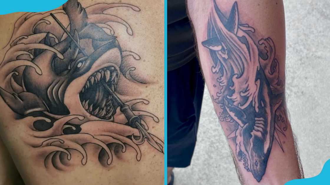 Sharks and waves Sharks and waves