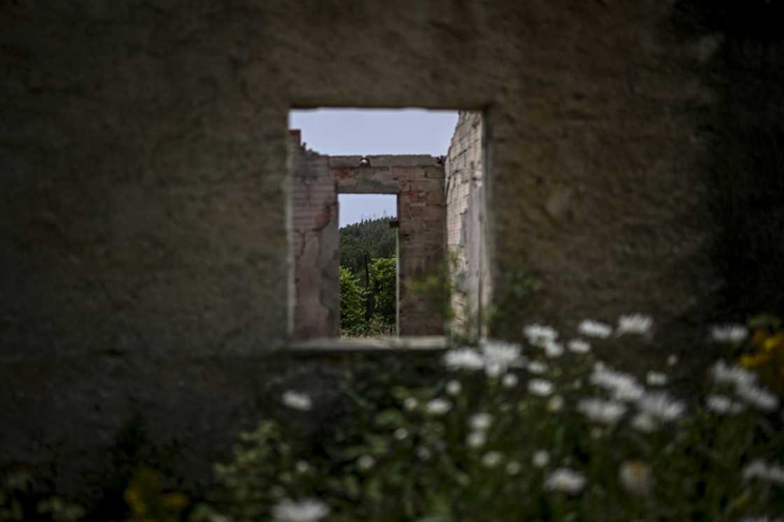 Vegetation is gradually overtaking houses abandoned in the fire Vegetation is gradually overtaking houses abandoned in the fire