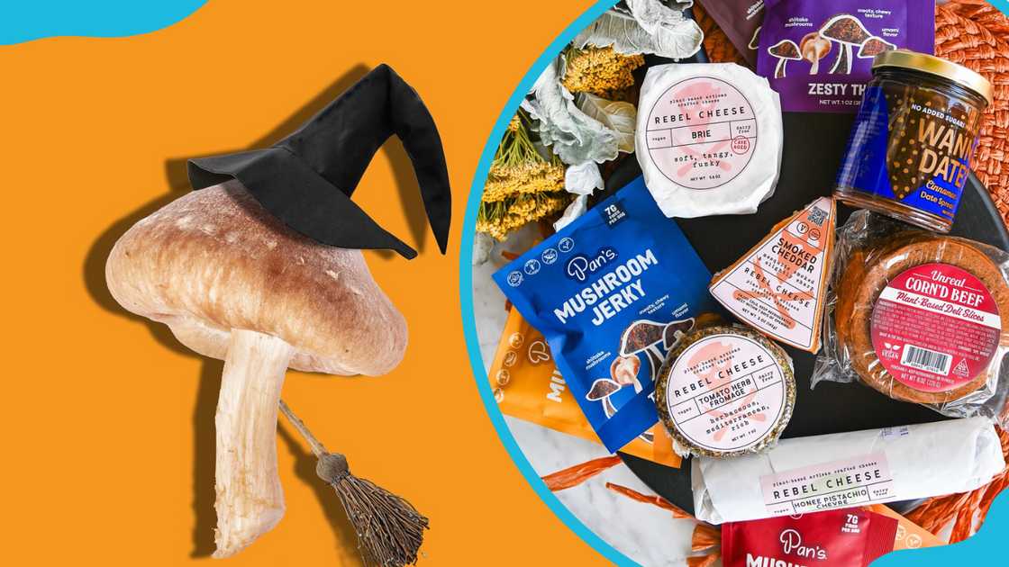 A mushroom with a graduation cap and Pan's Mushroom Jerky on a board with assorted cheeses A mushroom with a graduation cap and Pan's Mushroom Jerky on a board with assorted cheeses