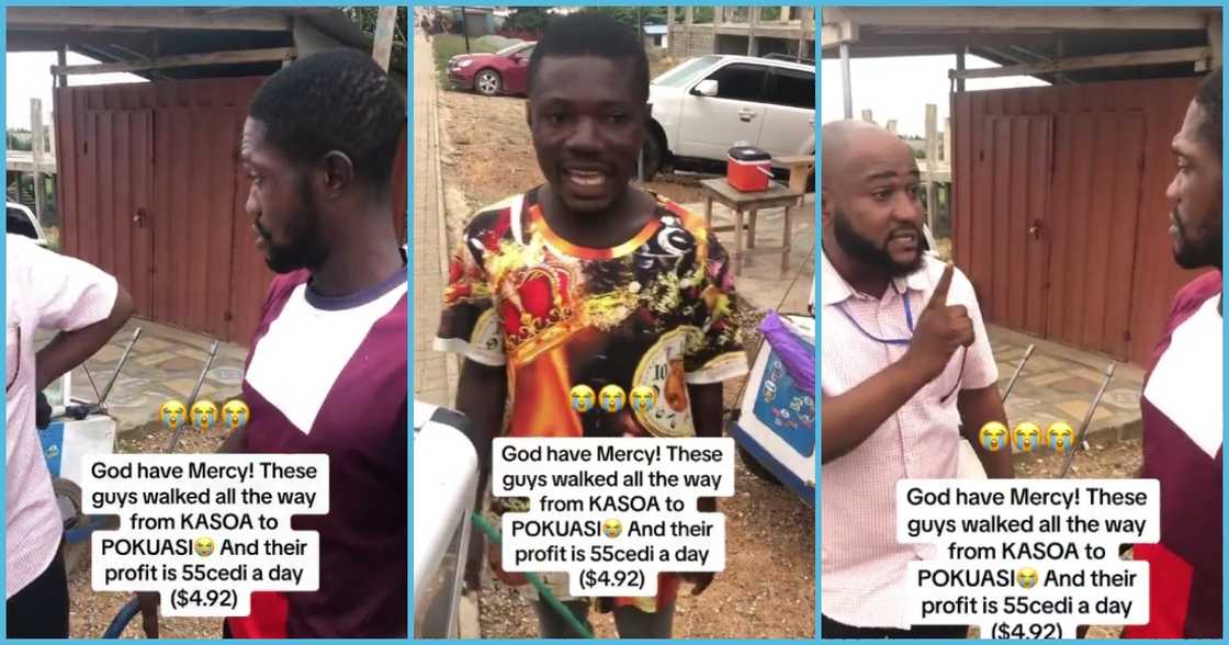 Fanmilk product sellers Fanmilk product sellers