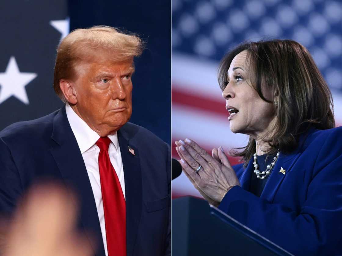 No matter who wins the US presidential election, Donald Trump or Kamala Harris, renters are facing trying times with no immediate relief in sight No matter who wins the US presidential election, Donald Trump or Kamala Harris, renters are facing trying times with no immediate relief in sight