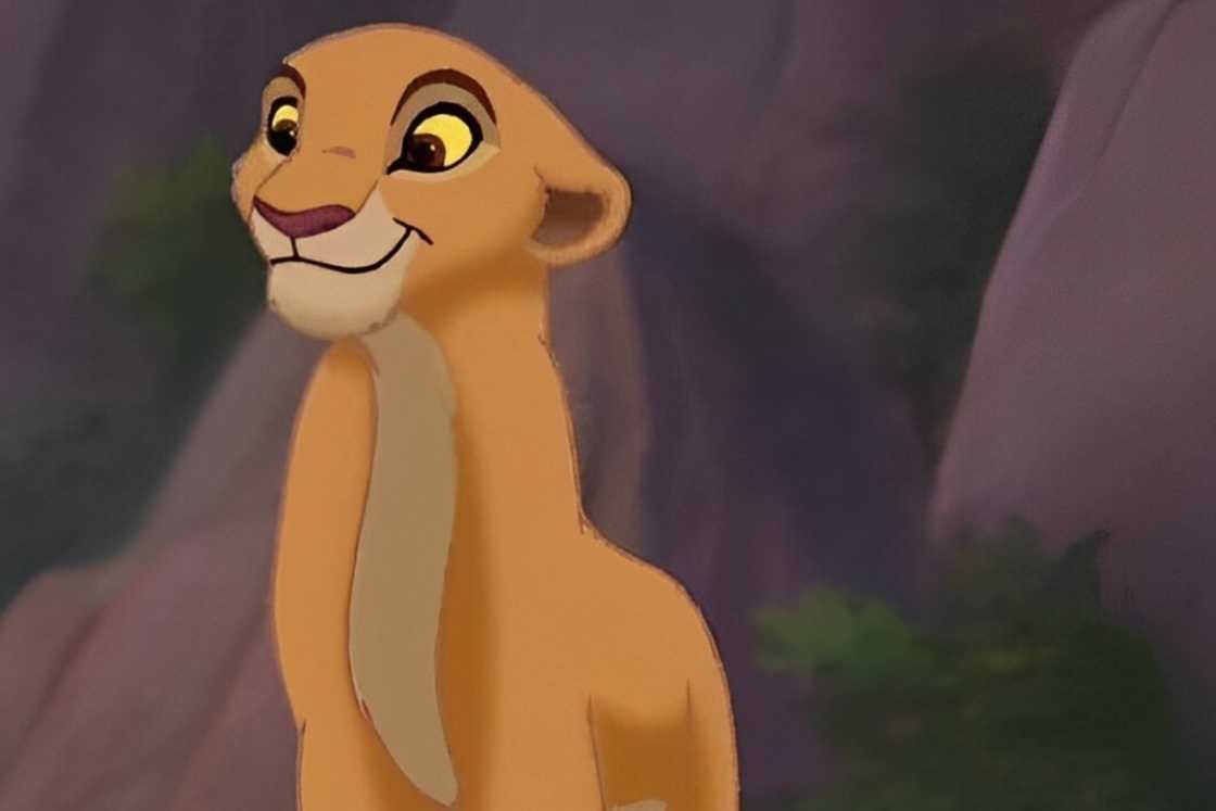 Kiara is sitting next to rocky background Kiara is sitting next to rocky background