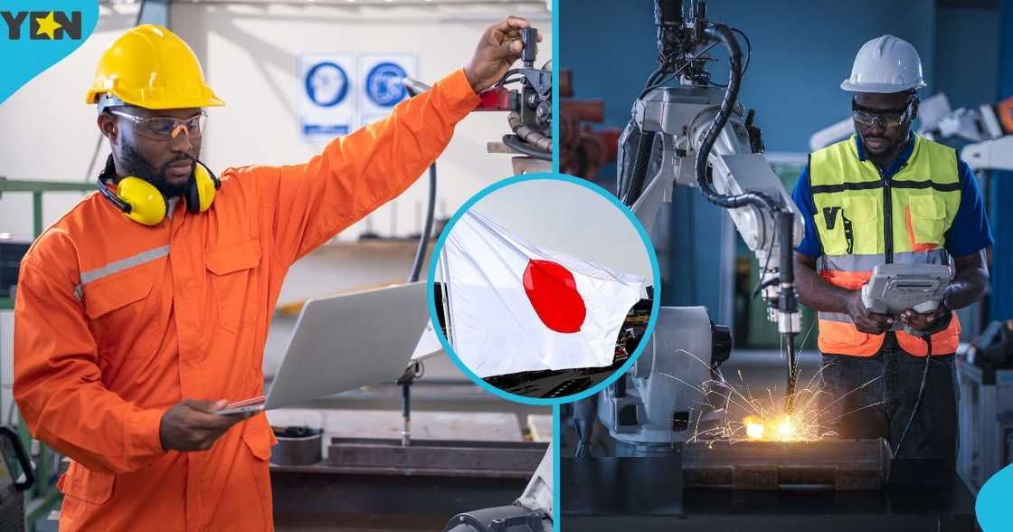 Japan, Japanese government, Japanese immigration guidance, Japan open 20,000 visa slots, Japan labour shortage, foreign nationals, visit Japan