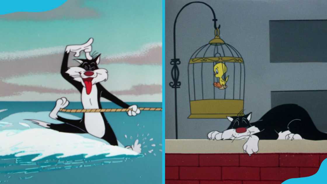 Sylvester the Cat Sylvester the Cat