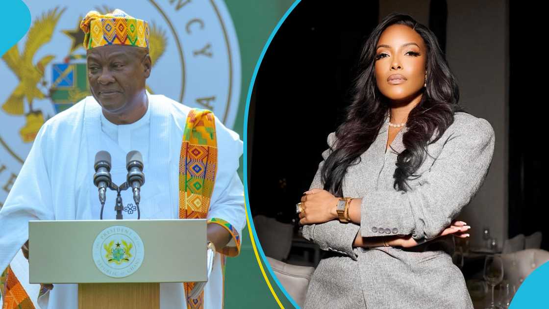 Joselyn Dumas, Movies, President John Dramani Mahama, Appointments, The Deputy Director For Diaspora Affairs Joselyn Dumas, Movies, President John Dramani Mahama, Appointments, The Deputy Director For Diaspora Affairs