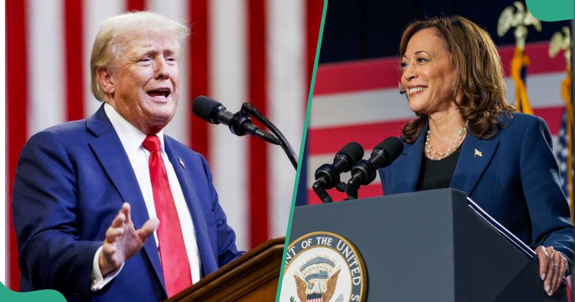 Nearly 25 million votes cast as Harris and Trump hit battleground US states