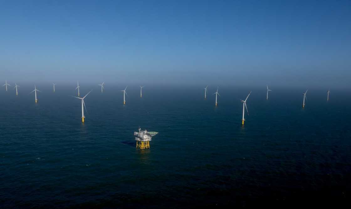 Olaf Scholz has said Germany needs to install 'four to five wind turbines a day' to meet its climate targets Olaf Scholz has said Germany needs to install 'four to five wind turbines a day' to meet its climate targets