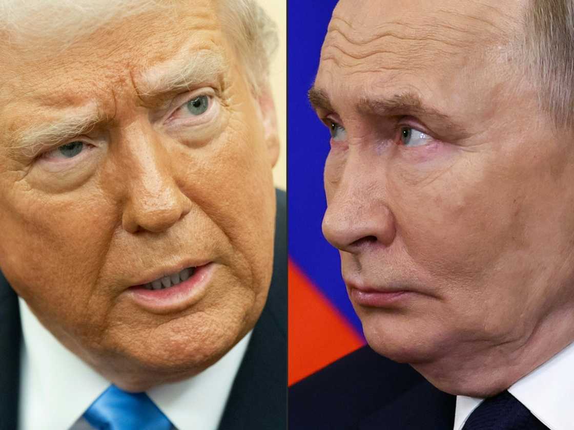 Sentiment was boosted after Donald Trump said he had spoken to Vladimir Putin about holding Ukraine peace talks Sentiment was boosted after Donald Trump said he had spoken to Vladimir Putin about holding Ukraine peace talks