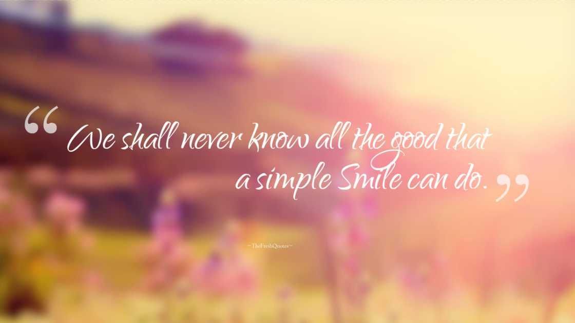 smile quotes
cute smile quotes
love smile quotes
famous smile quotes
smile quotes for her smile quotes
cute smile quotes
love smile quotes
famous smile quotes
smile quotes for her