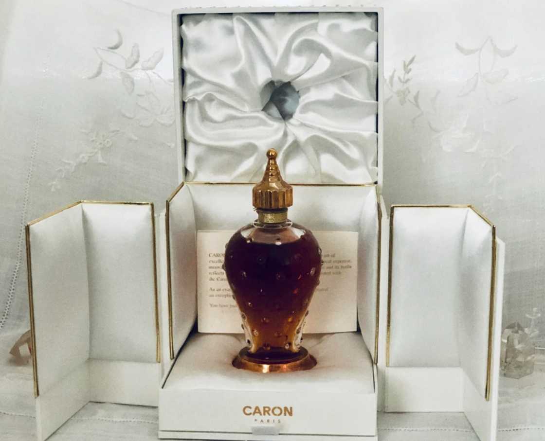 Most expensive cologne Most expensive cologne