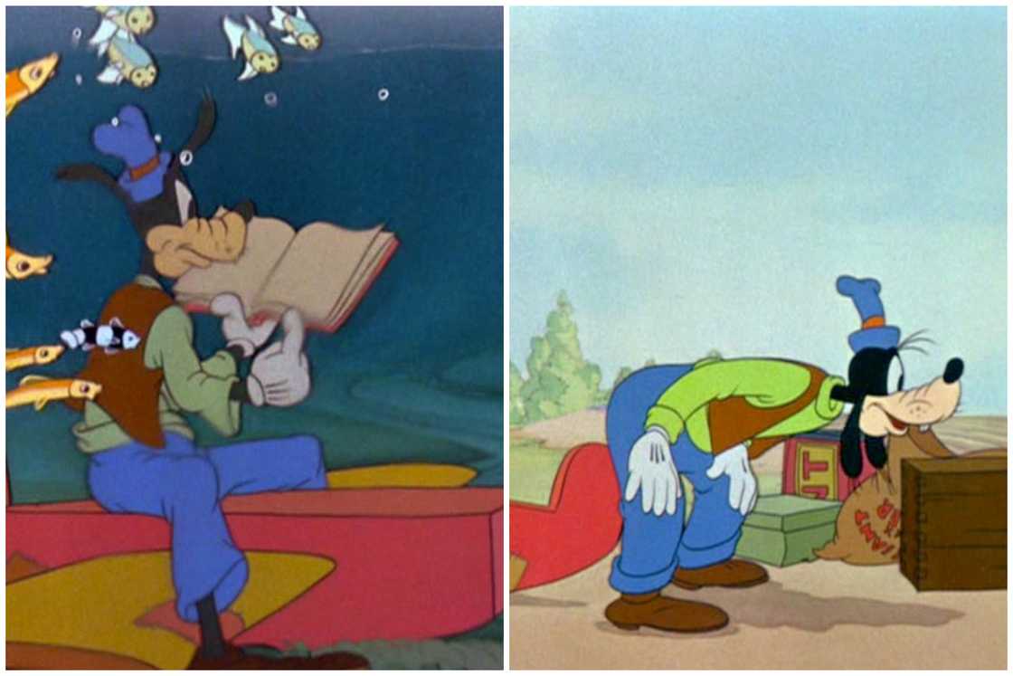 Is Goofy a cow or a dog?