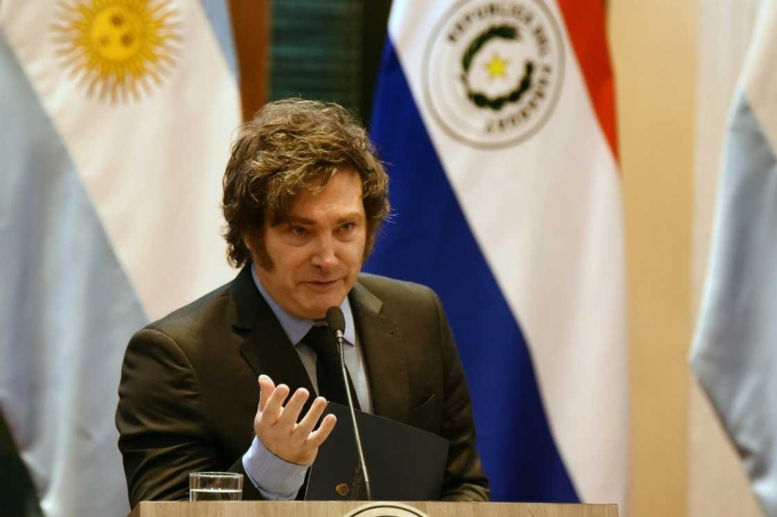 Argentina's President Javier Milei faces another general strike in response to austerity measures