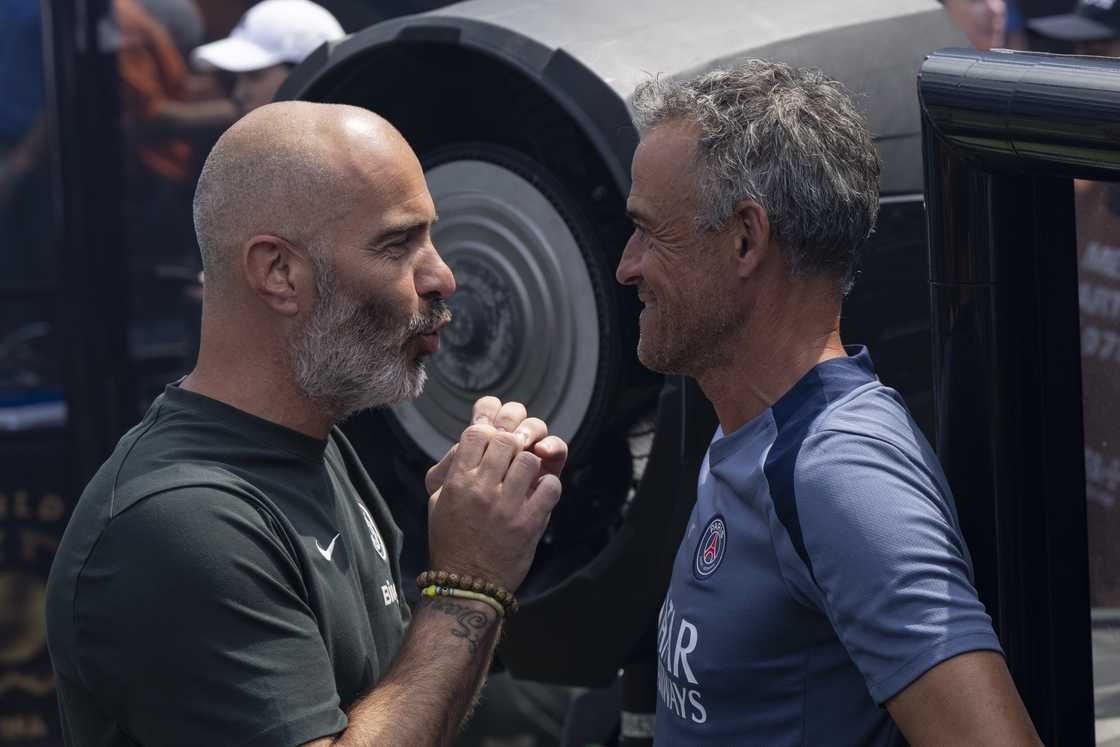 Luis Enrique, Joao Pedro, Club World Cup, Chelsea, PSG, Enzo Maresca Luis Enrique, Joao Pedro, Club World Cup, Chelsea, PSG, Enzo Maresca