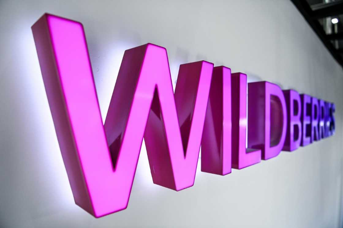 Wildberries is Russia's largest online retailer