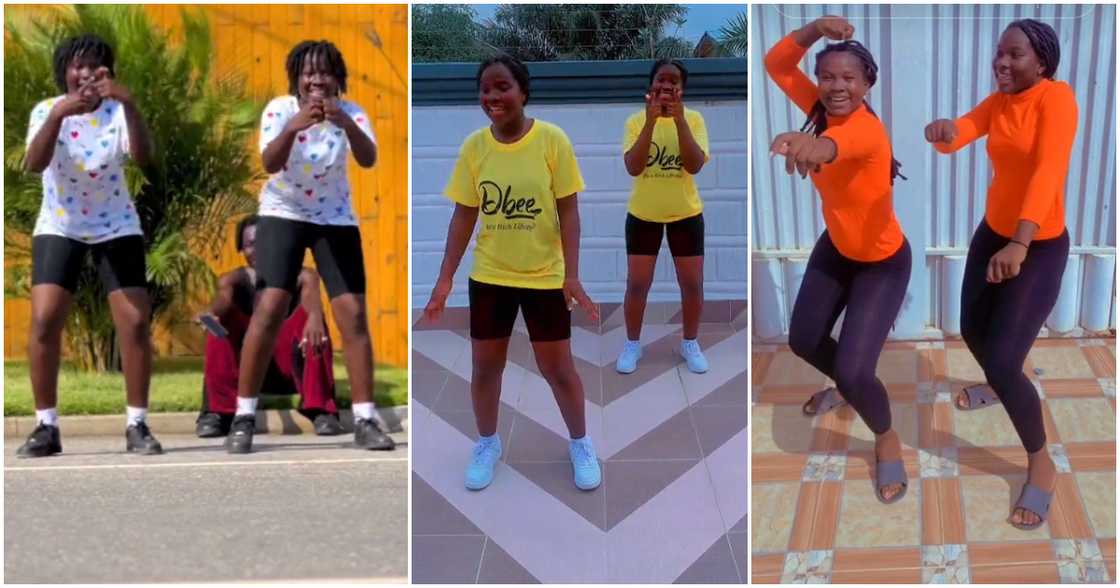 Photos of twin sisters. Photos of twin sisters.