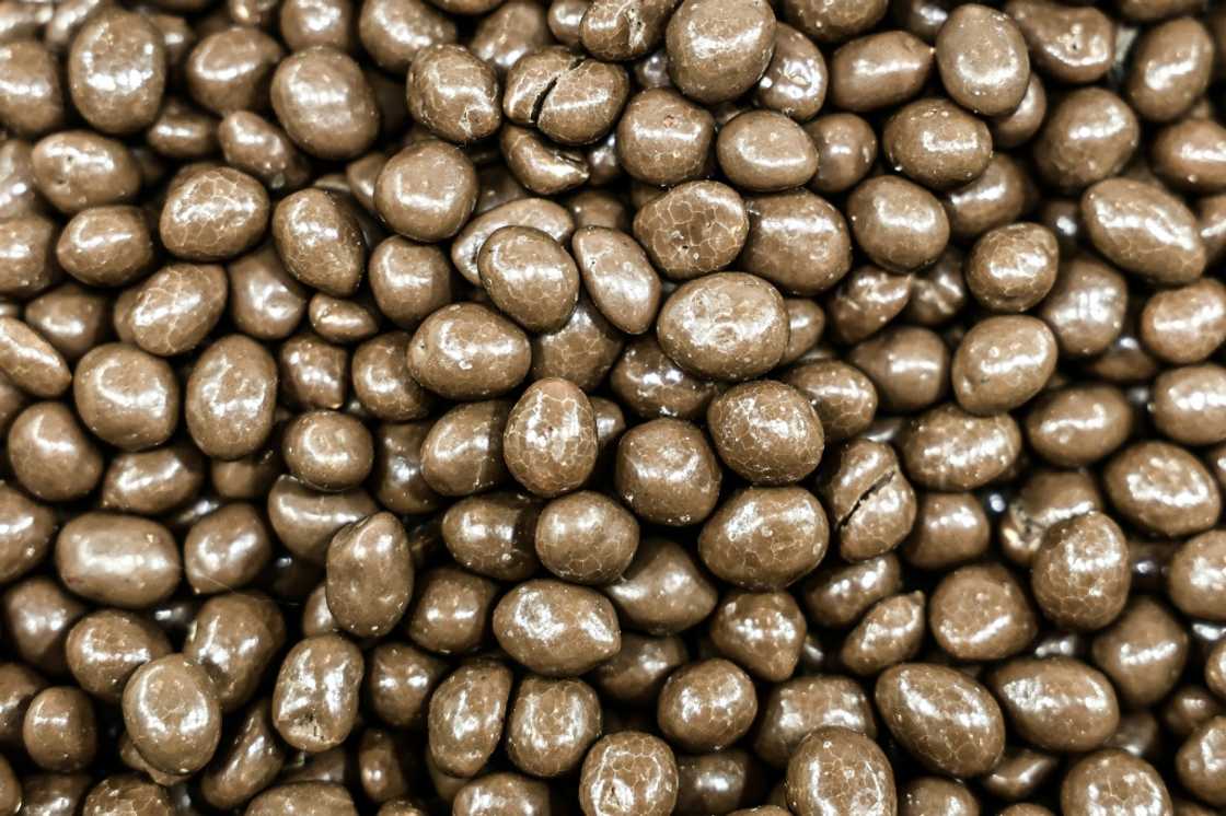 High prices of cocoa have spurred a surge in Liberia's cocoa exportation