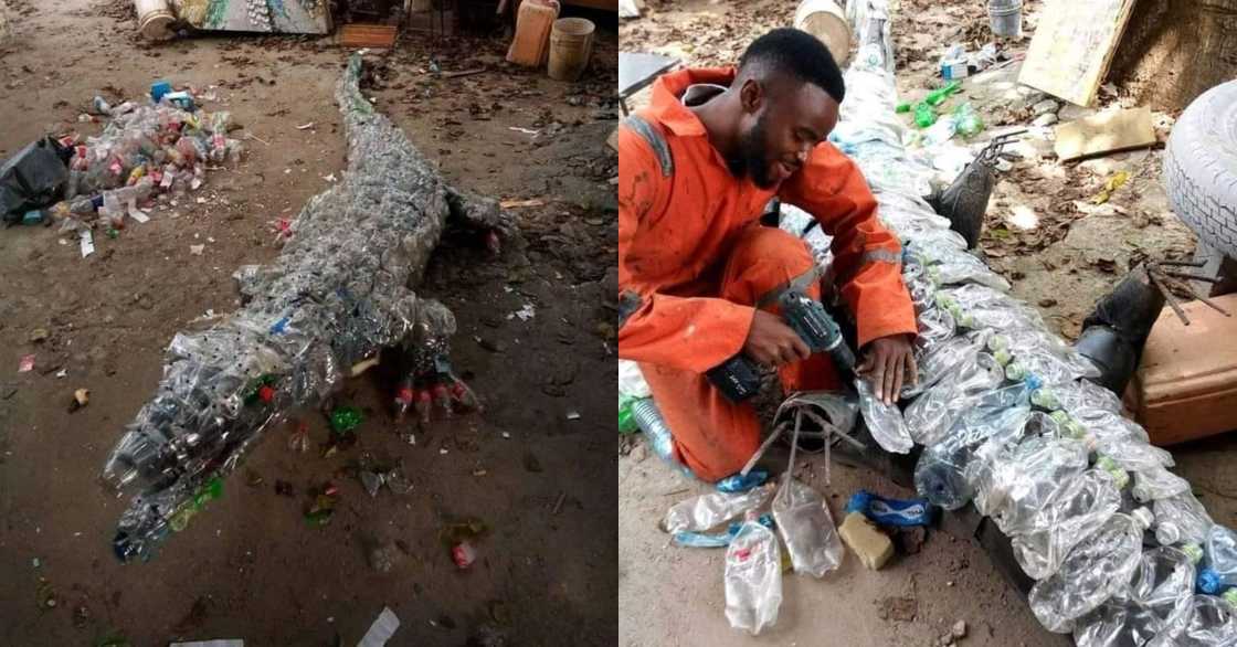 Talented man creates real-looking crocodile using plastic bottles