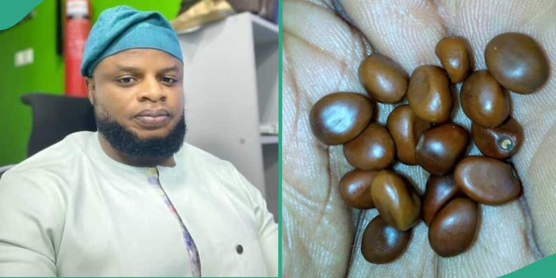 Man shares photo of unknown seeds. Man shares photo of unknown seeds.