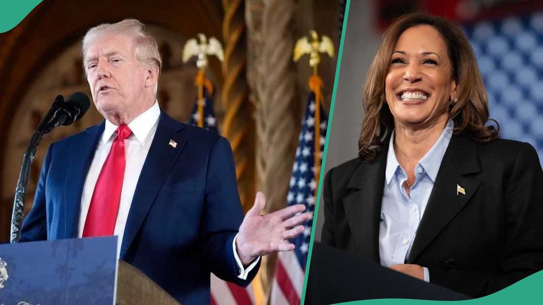 US: Harris reportedly leading Trump among Latino voters in battleground state US: Harris reportedly leading Trump among Latino voters in battleground state