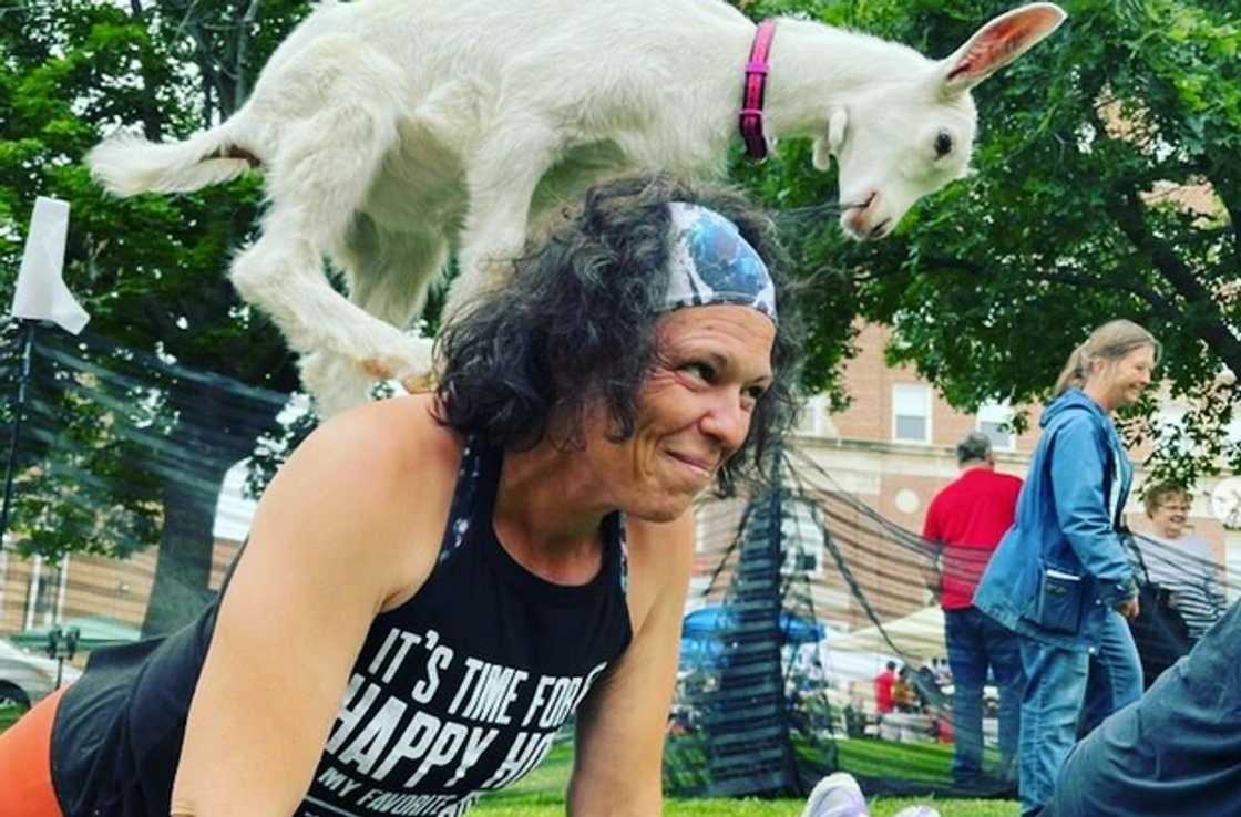 Actress Lisa Collins is doing goat yoga. Actress Lisa Collins is doing goat yoga.
