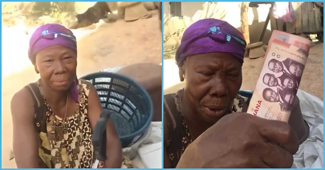 Photo of an old lady Photo of an old lady