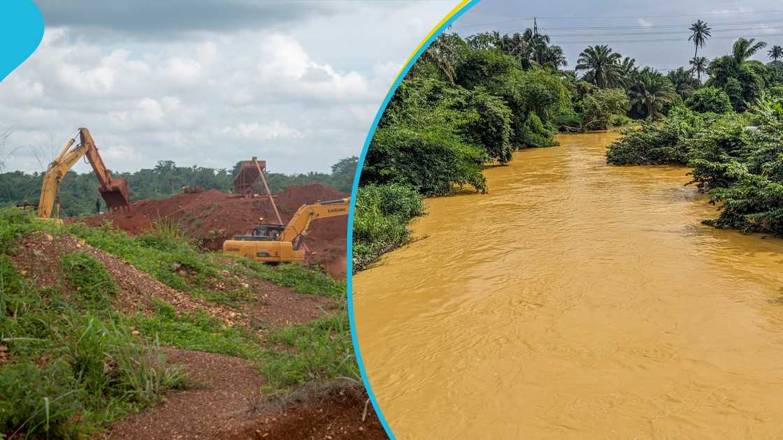 Galamsey, Illegal Mining, Fish, Crops, Lead, Mercury, Research, EPA, Poisoned food, Water bodies. Galamsey, Illegal Mining, Fish, Crops, Lead, Mercury, Research, EPA, Poisoned food, Water bodies.