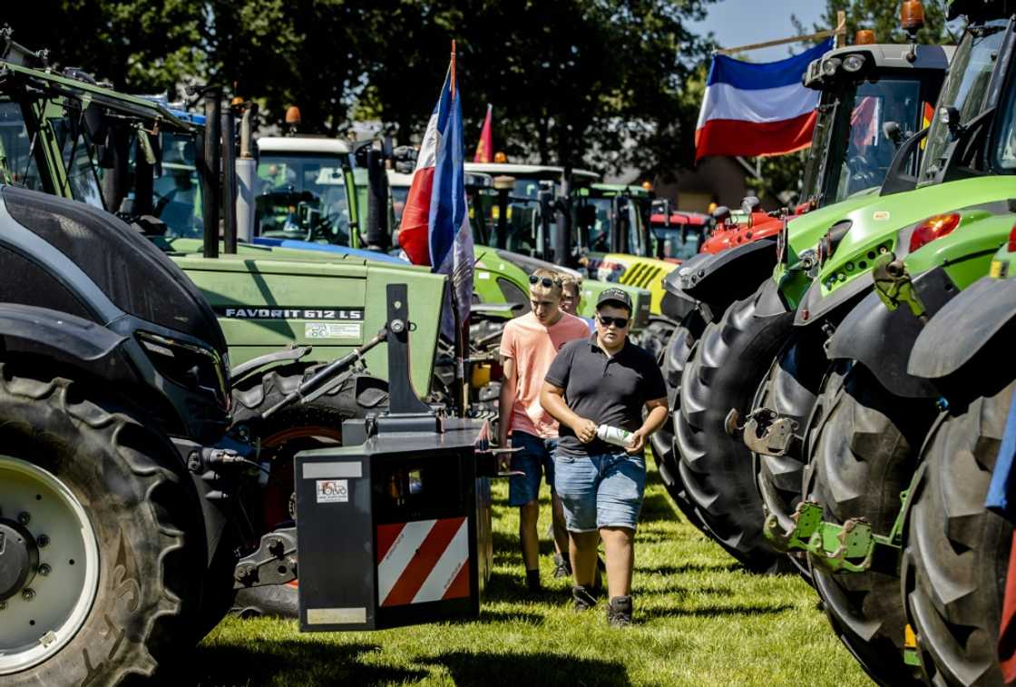 Hundreds of tractors gathered on a field, many with horns blaring and safety lights flashing