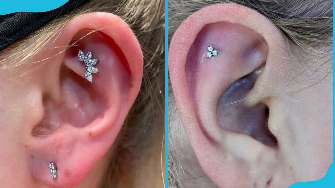 People with flat helix piercings on their ears. People with flat helix piercings on their ears.