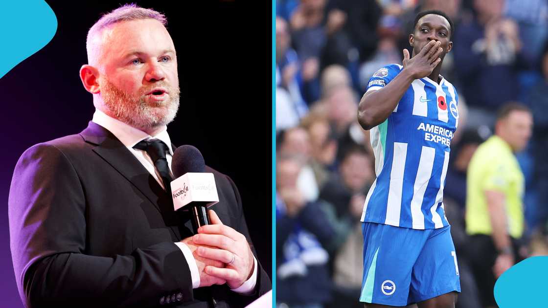 Wayne Rooney, Rooney backs Welbeck, Danny Welbeck, English-Ghanaian striker, Welbeck to return to England, Thomas Tuchel, Brighton. Wayne Rooney, Rooney backs Welbeck, Danny Welbeck, English-Ghanaian striker, Welbeck to return to England, Thomas Tuchel, Brighton.