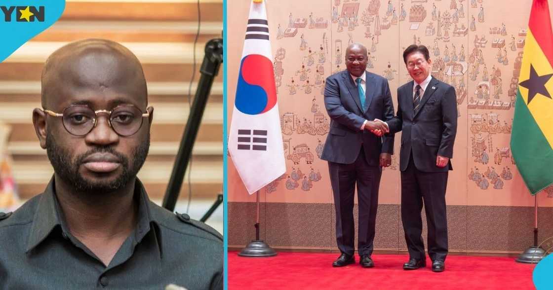 Nana Asafo-Adjei Ayeh, Deputy Ranking Member, Parliament of Ghana, Foreign Affairs Committee, MP for Bosome Freho, President John Mahama, diplomatic trips, President Lee Jae-Myung, South Korea, private jet
