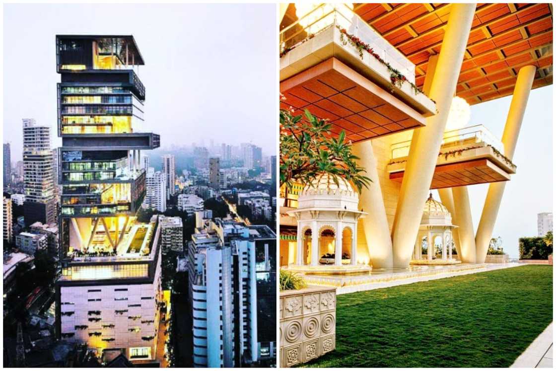 What is the most expensive thing in the world? What is the most expensive thing in the world?