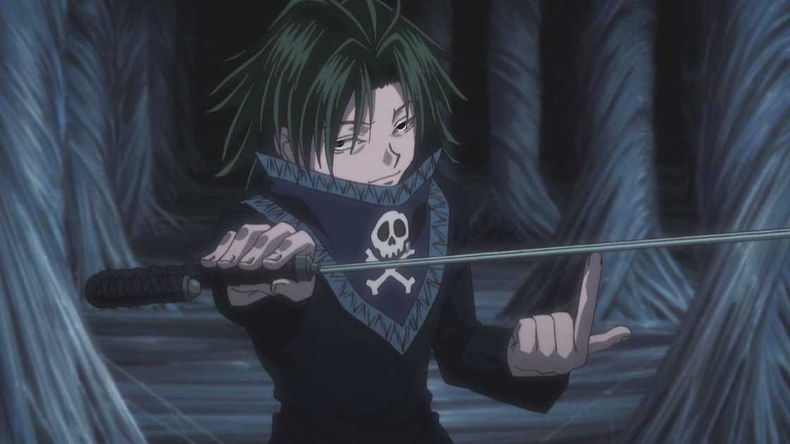 HXH characters HXH characters