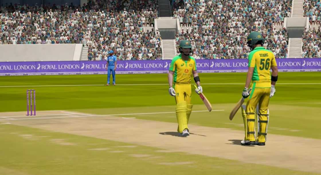 best cricket games for PC