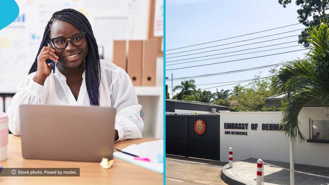 Denmark Embassy job vacancy, Communication and Cultural Officer position, Ghana embassy careers, public diplomacy jobs in Ghana, cultural projects coordinator, social media management jobs, high-level event coordination