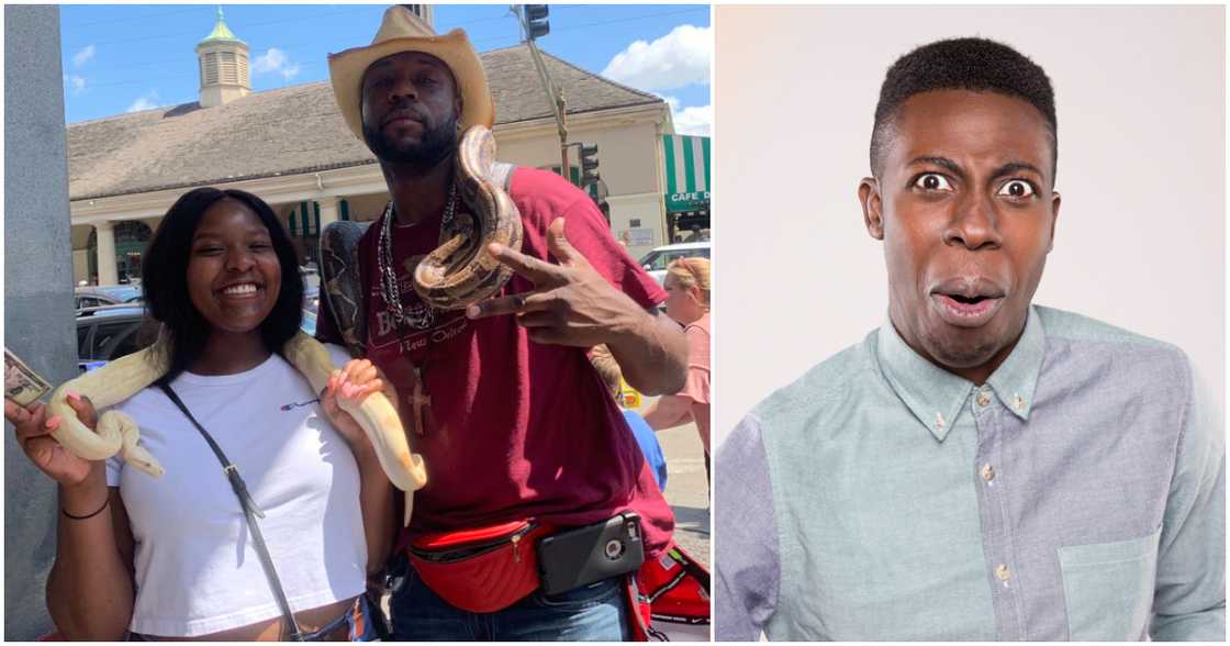 Lady and man poses with snakes around their necks. Lady and man poses with snakes around their necks.