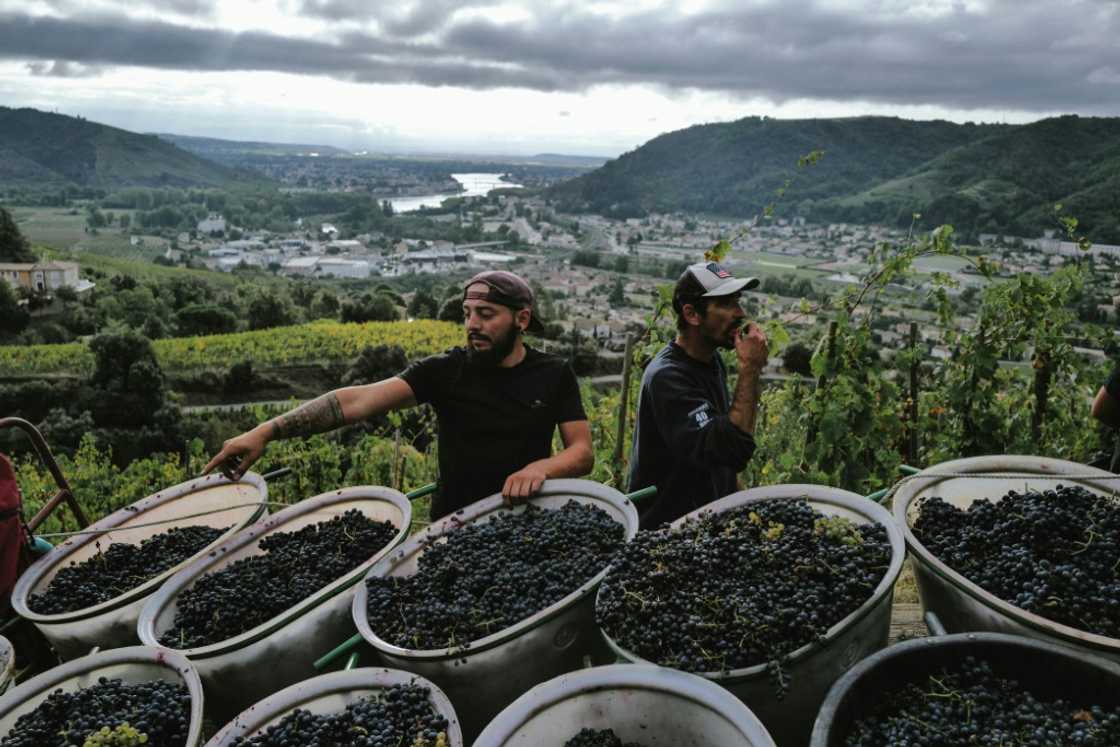French wine exports are 'hugely disappointed' over the EU's failure to secure a US tariff exemption French wine exports are 'hugely disappointed' over the EU's failure to secure a US tariff exemption