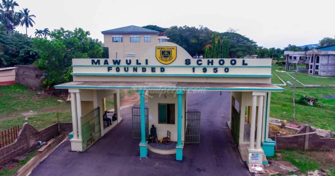 Triumphant entry: ManSyte, Aquinas, 8 other senior high schools in Ghana with the most beautiful entrances