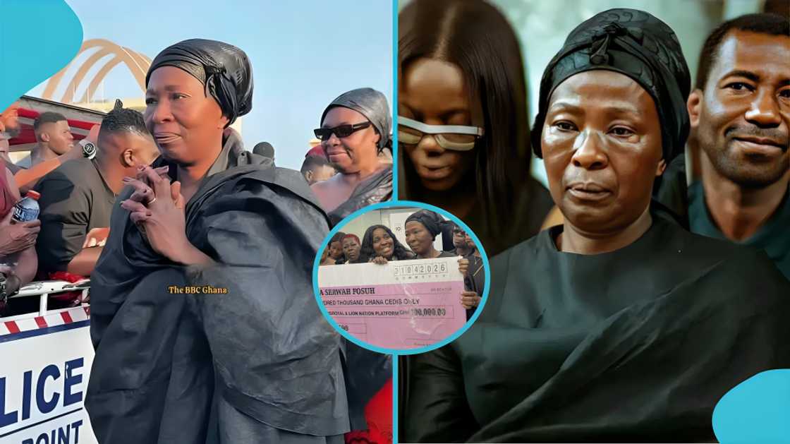 Akosua Serwaa, Team Legal Wives, TikTok, celebration of life, social media reactions, Daddy Lumba, cash gift Akosua Serwaa, Team Legal Wives, TikTok, celebration of life, social media reactions, Daddy Lumba, cash gift