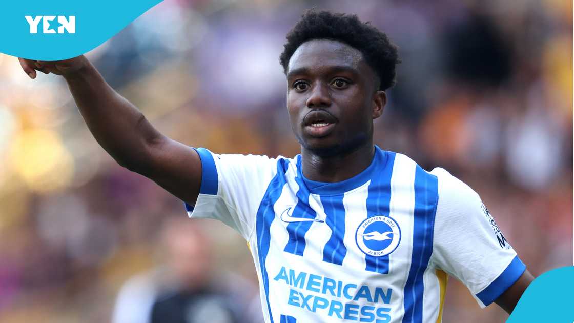 Tariq Lamptey, Fiorentina, Brighton, Tarq Lamptey transfer, Serie A